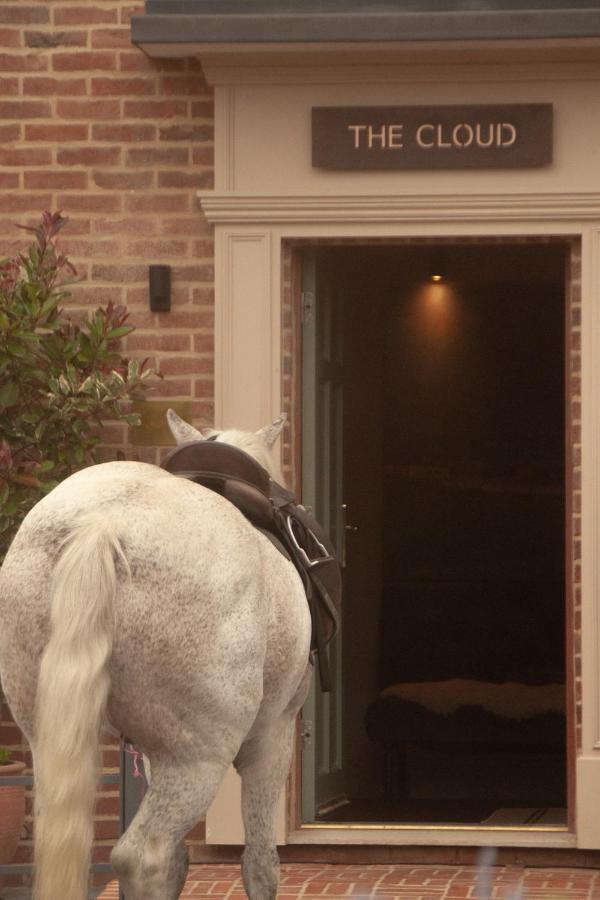 The Cloud Bed & Breakfast Brockenhurst